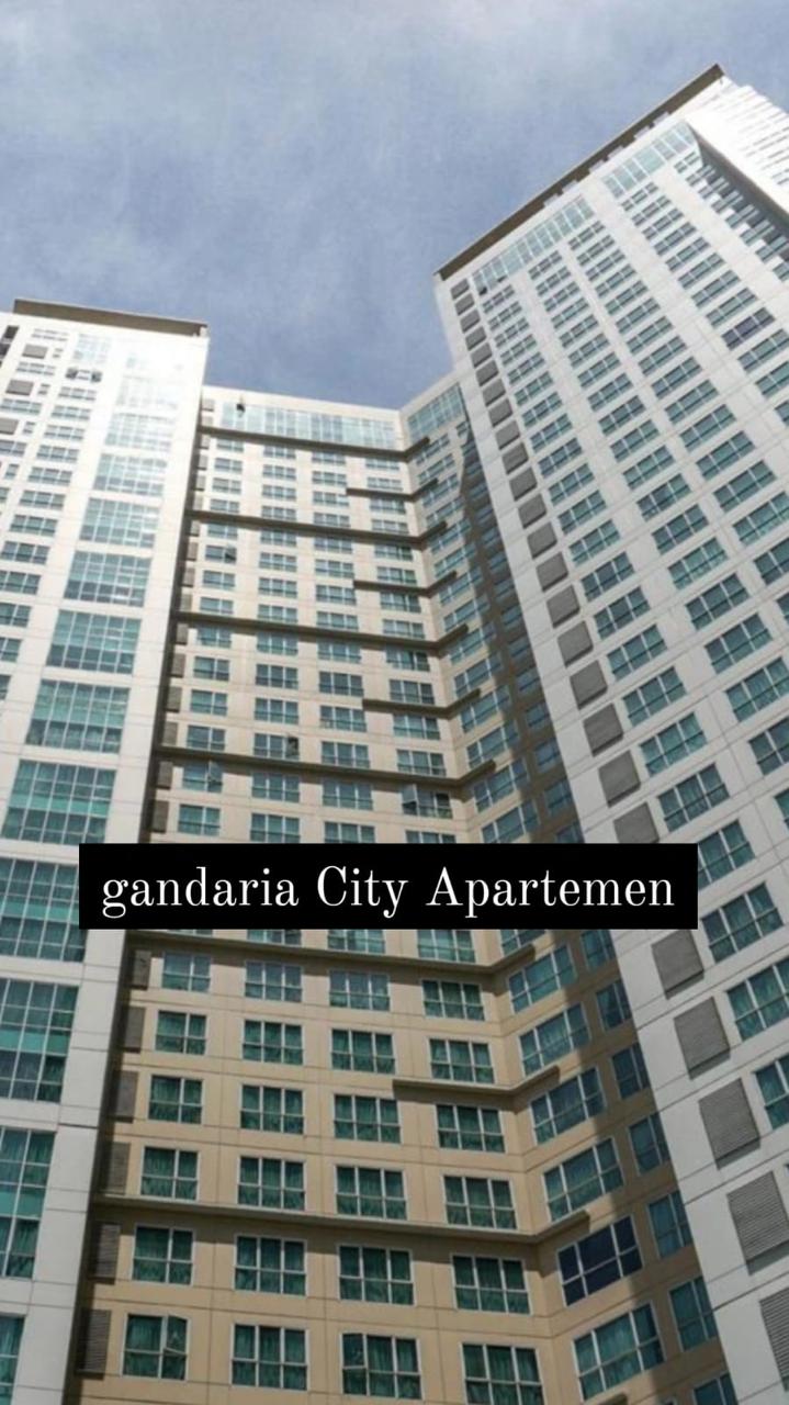 WhatsApp Image 2025-06-17 at 14.44