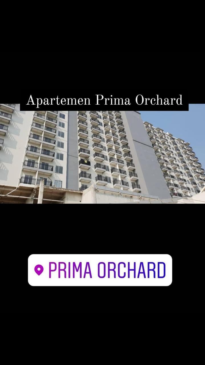 WhatsApp Image 2025-06-17 at 14.47