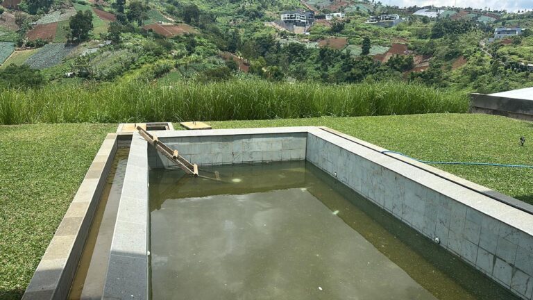 WhatsApp Image 2025-06-17 at 16.18